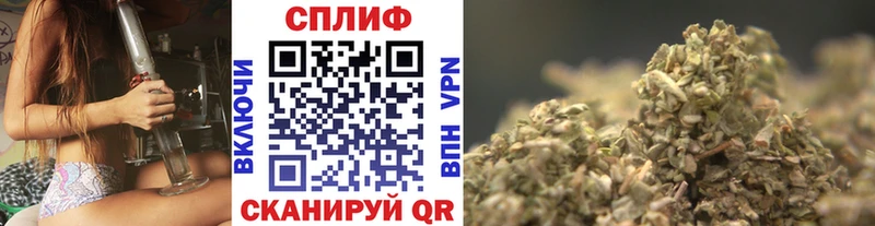 Какие есть наркотики Гай Кокаин Alpha-PVP Гашиш Галлюциногенные грибы Меф МАРИХУАНА
