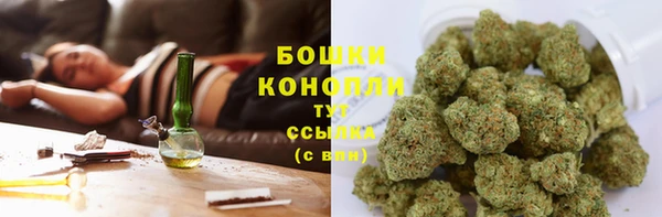 наркотики Бородино