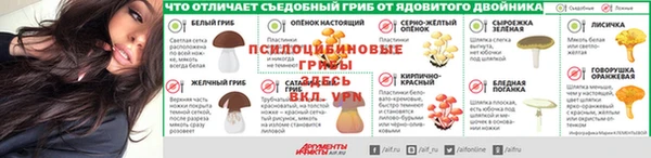 шишки Бронницы