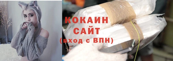 шишки Бронницы