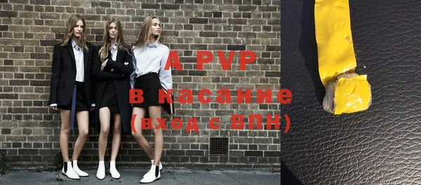 стаф Верея