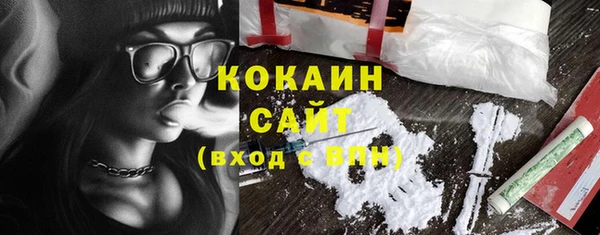 шишки Бронницы