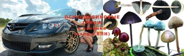 шишки Бронницы