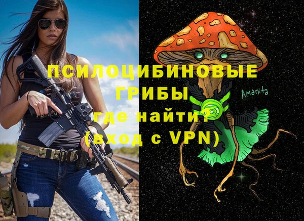 наркотики Бородино