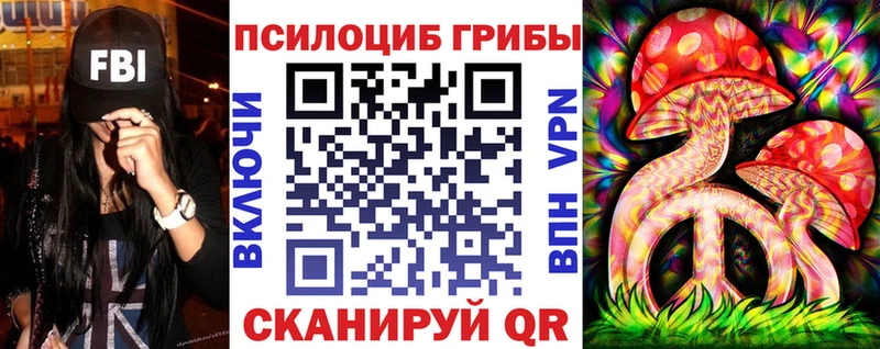 ссылка на мегу ТОР  Гай  Галлюциногенные грибы мицелий 