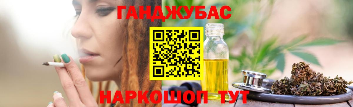 Конопля сатива Гай